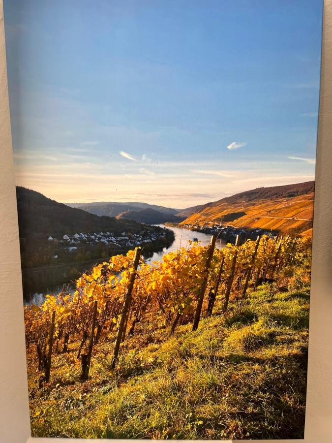 Ferienhaus Ankerpunkt Zell an der Mosel Esterno foto